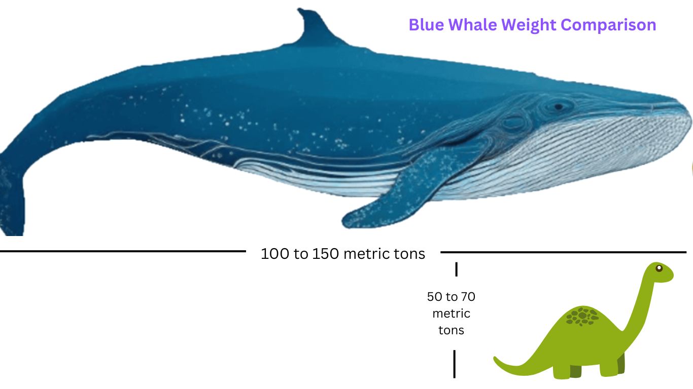 Blue Whale Weight Comparison with Dinosaurs