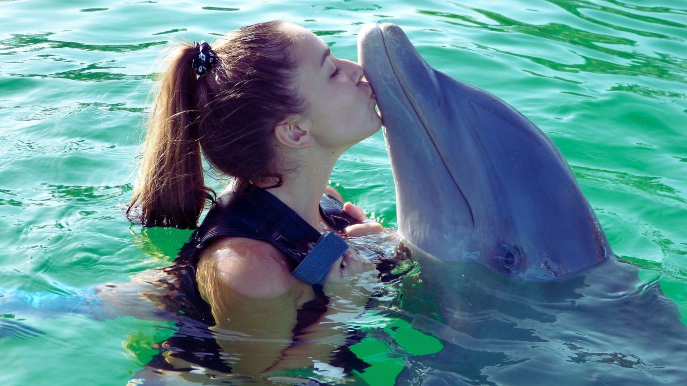 dolphin-fish-mahi-mahi-or-dorado