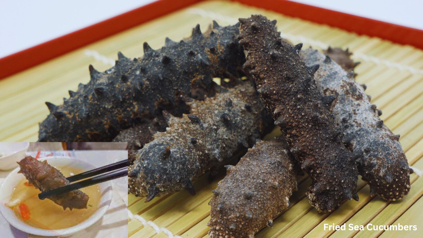 Facts about Sea Cucumbers