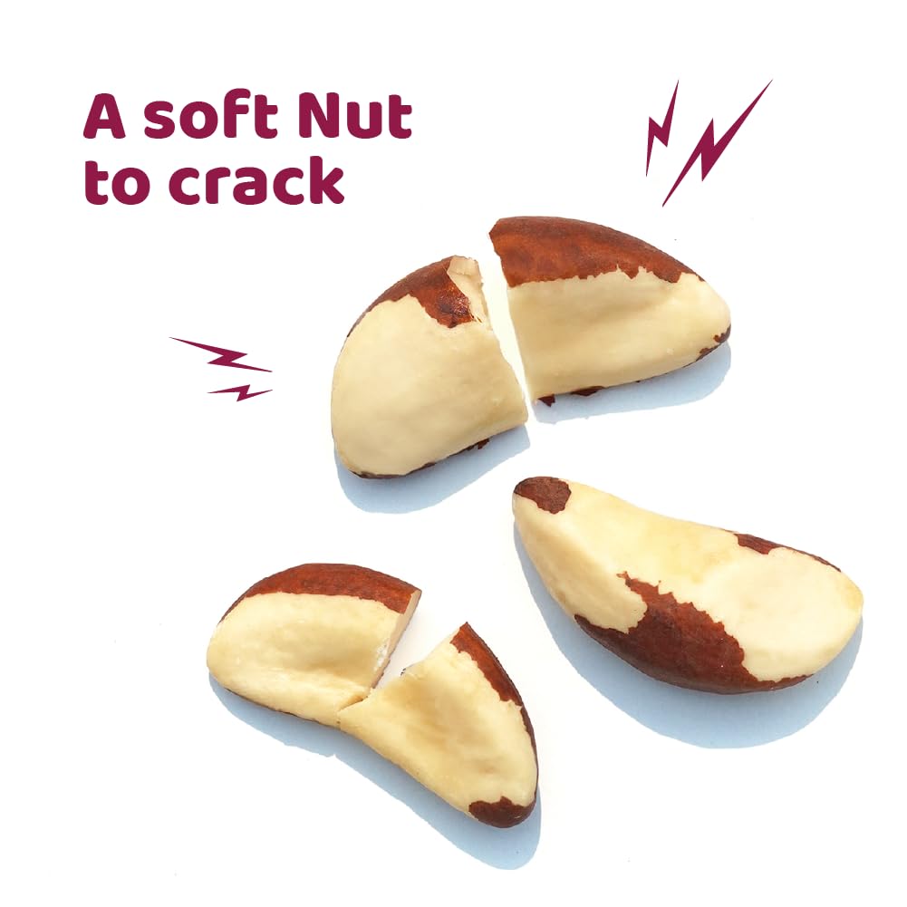 Brazil Nuts